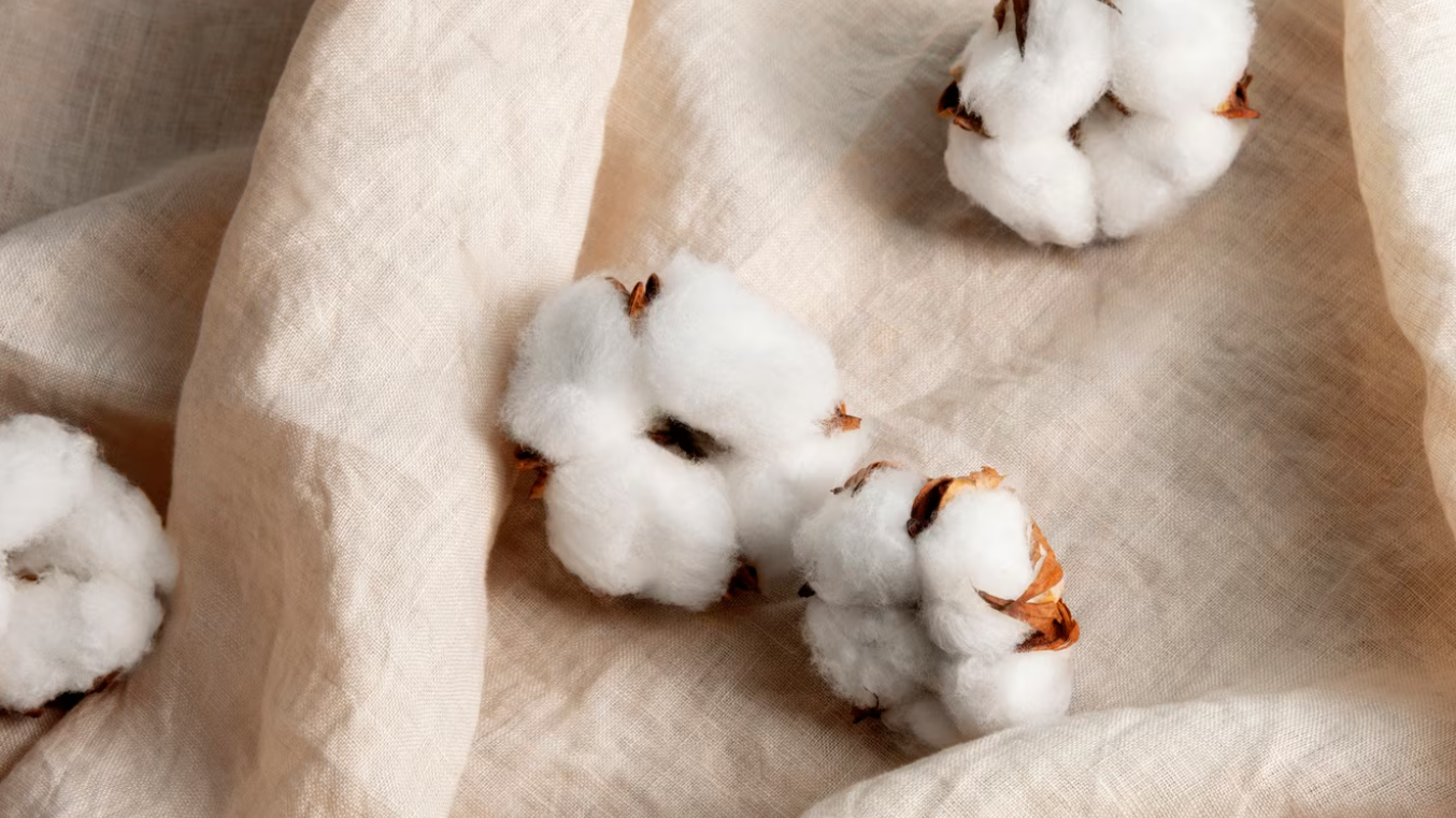 The Impact of Fast Fashion on Our Environment