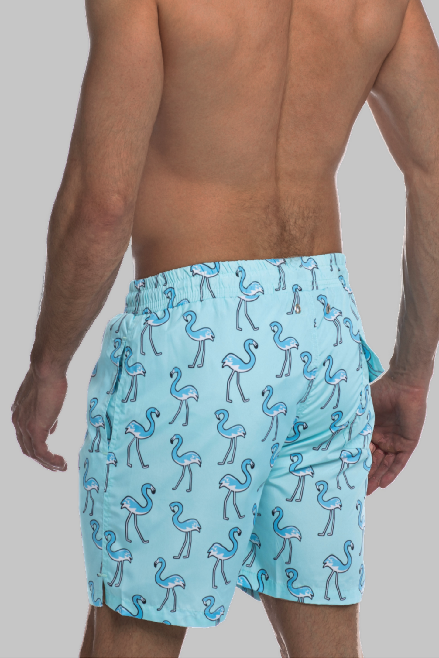 Swim Shorts - Free Flamingo