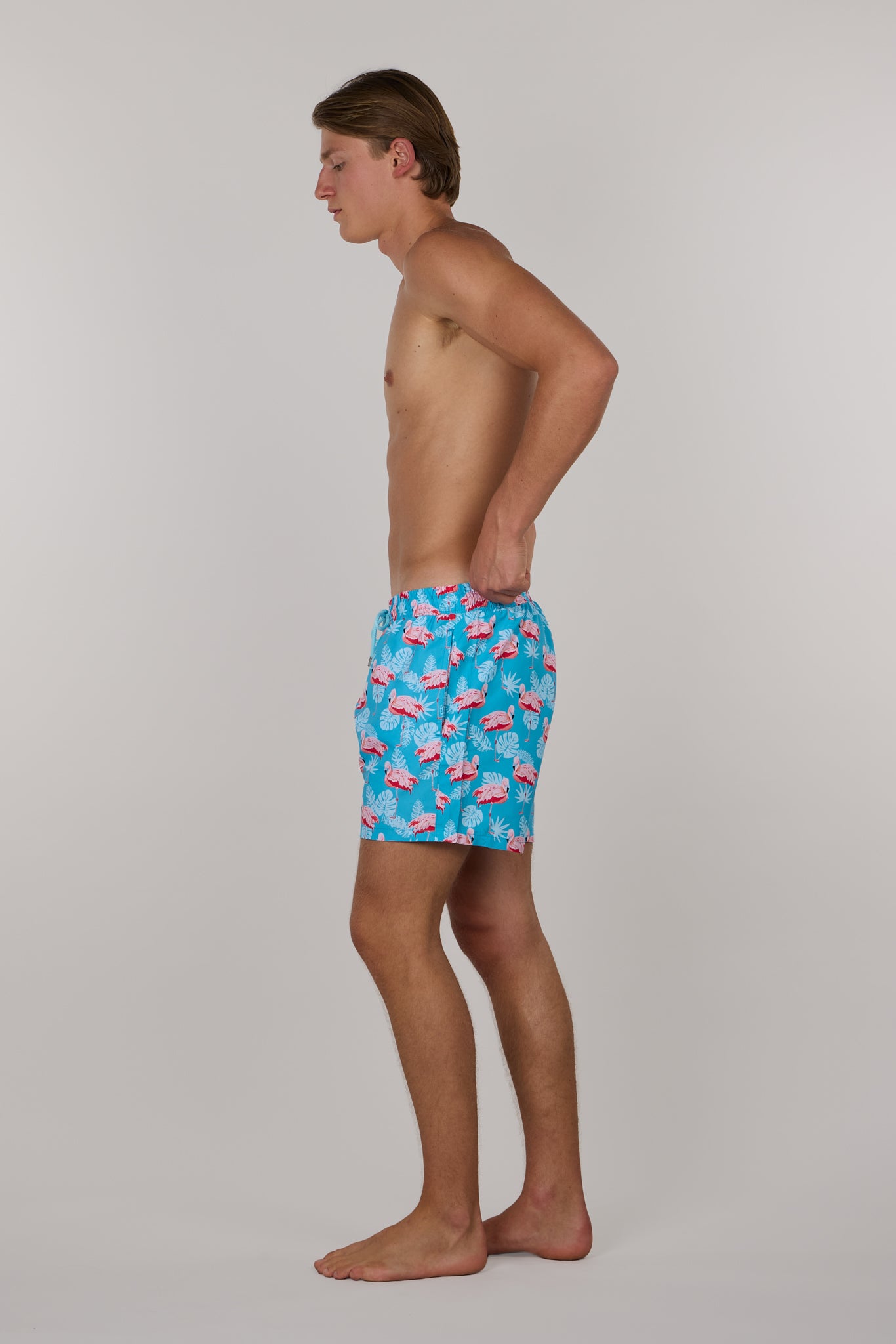 Milano - Resting Flamingo - Swim shorts