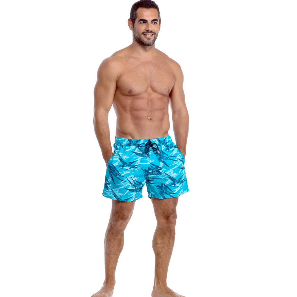 Men Swim Shorts - Free Fly