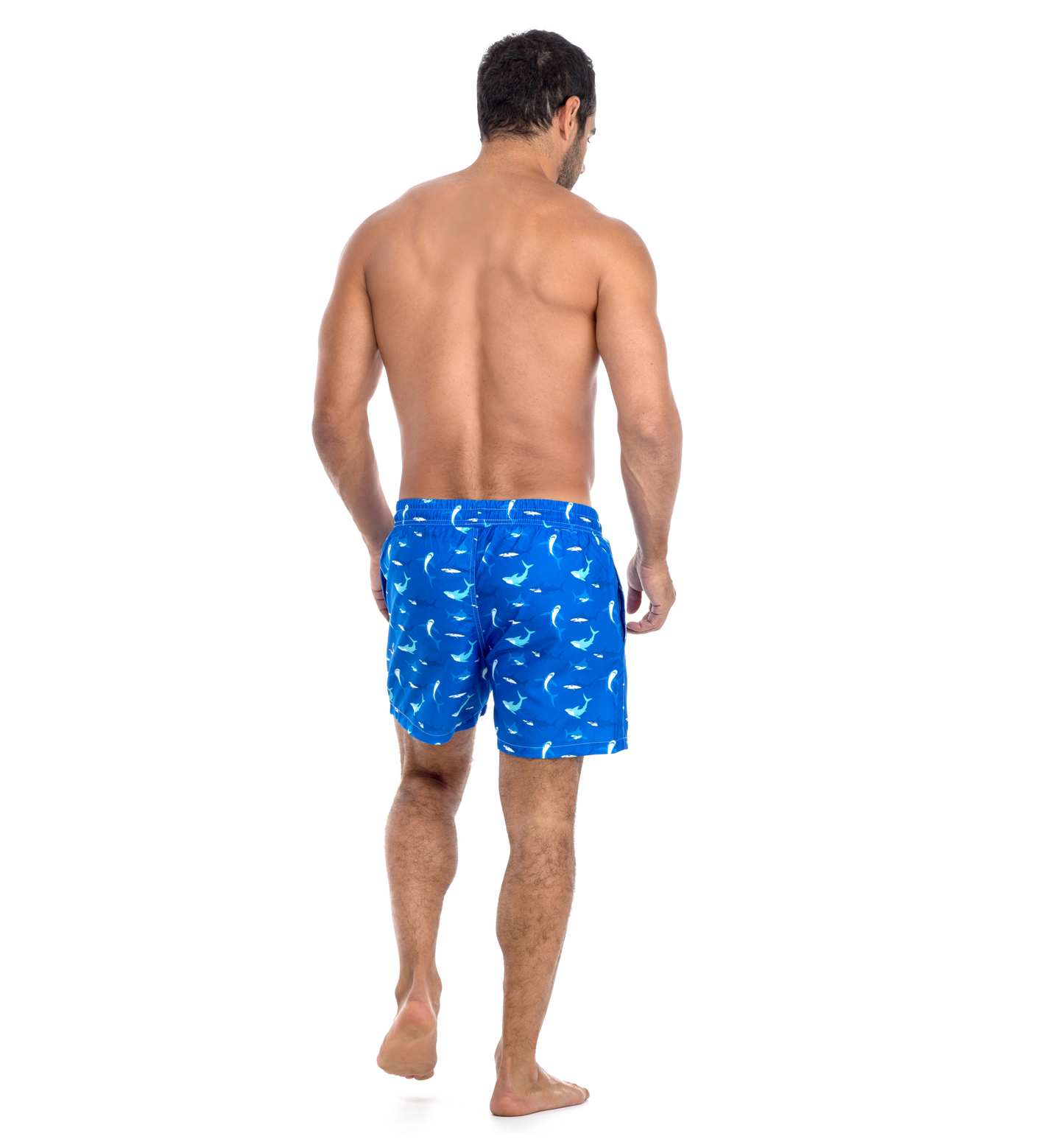 Milano - Cool Shark - Swim Shorts