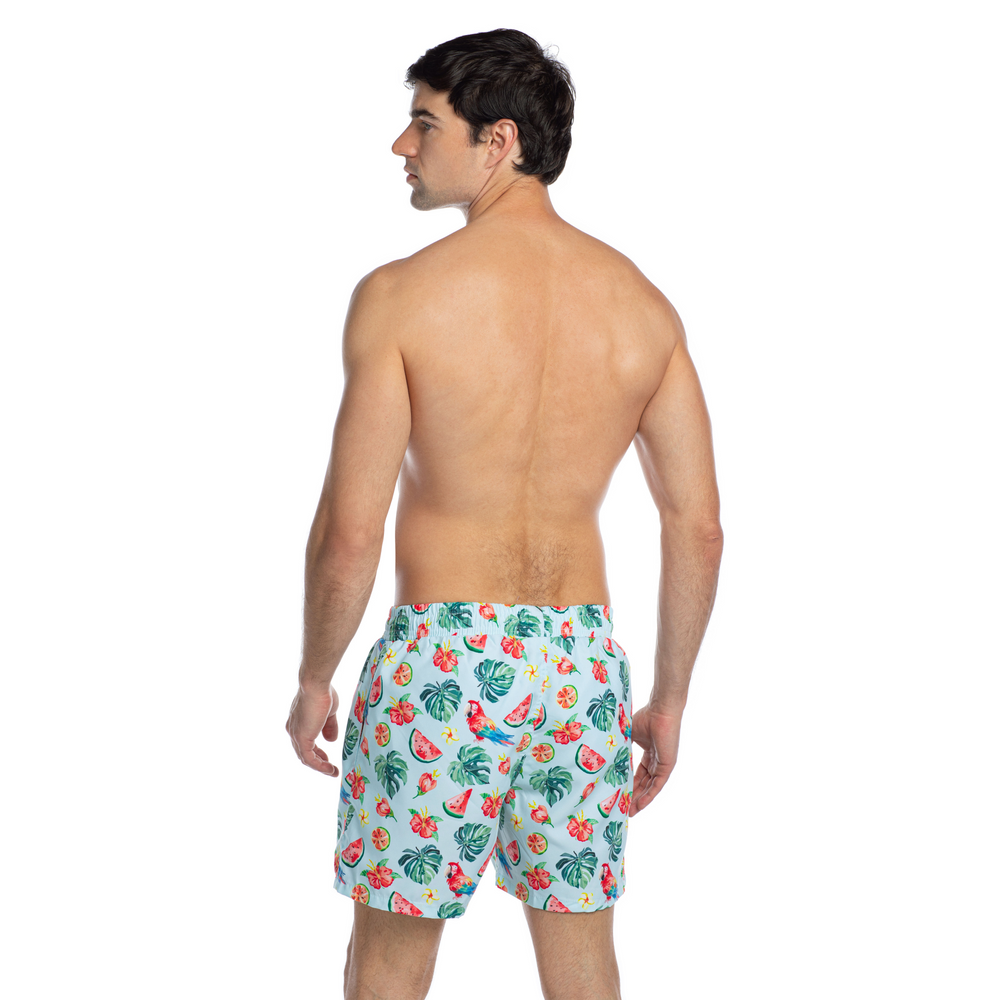 
                      
                        Milano - Frutti Sea - Swim shorts
                      
                    