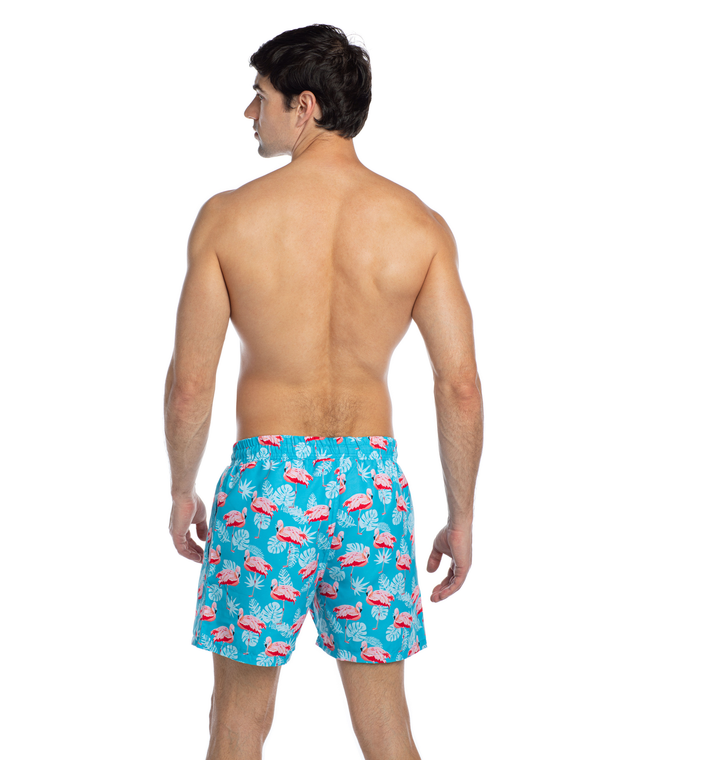 Milano - Resting Flamingo - Swim shorts