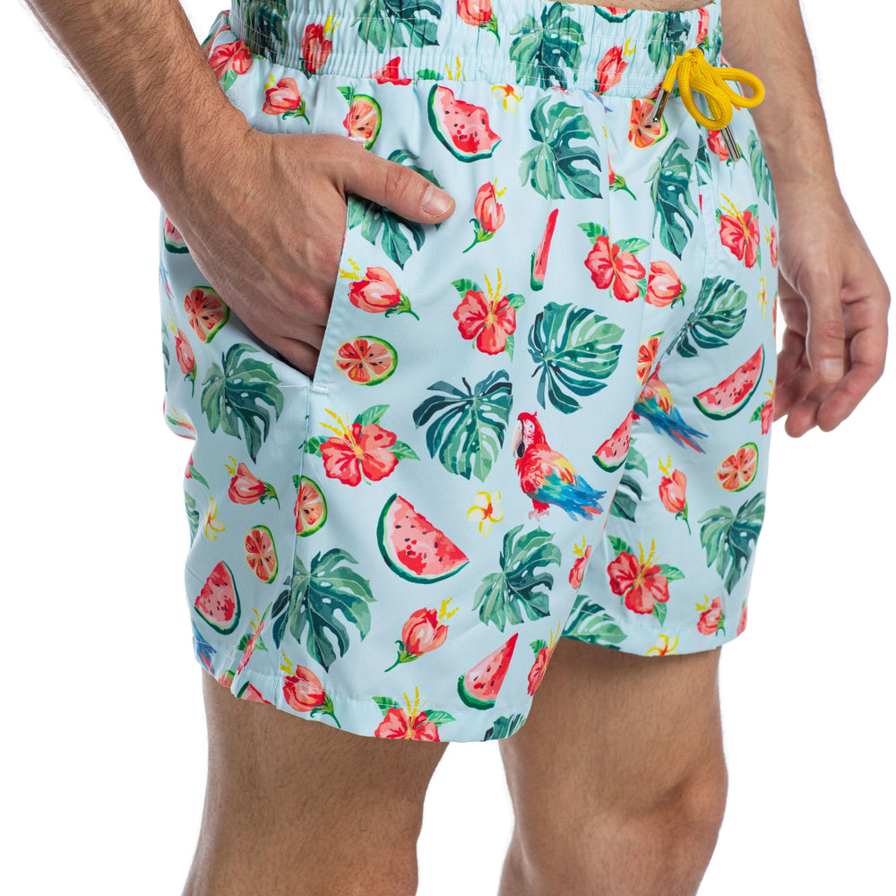 
                      
                        Milano - Frutti Sea - Swim shorts
                      
                    