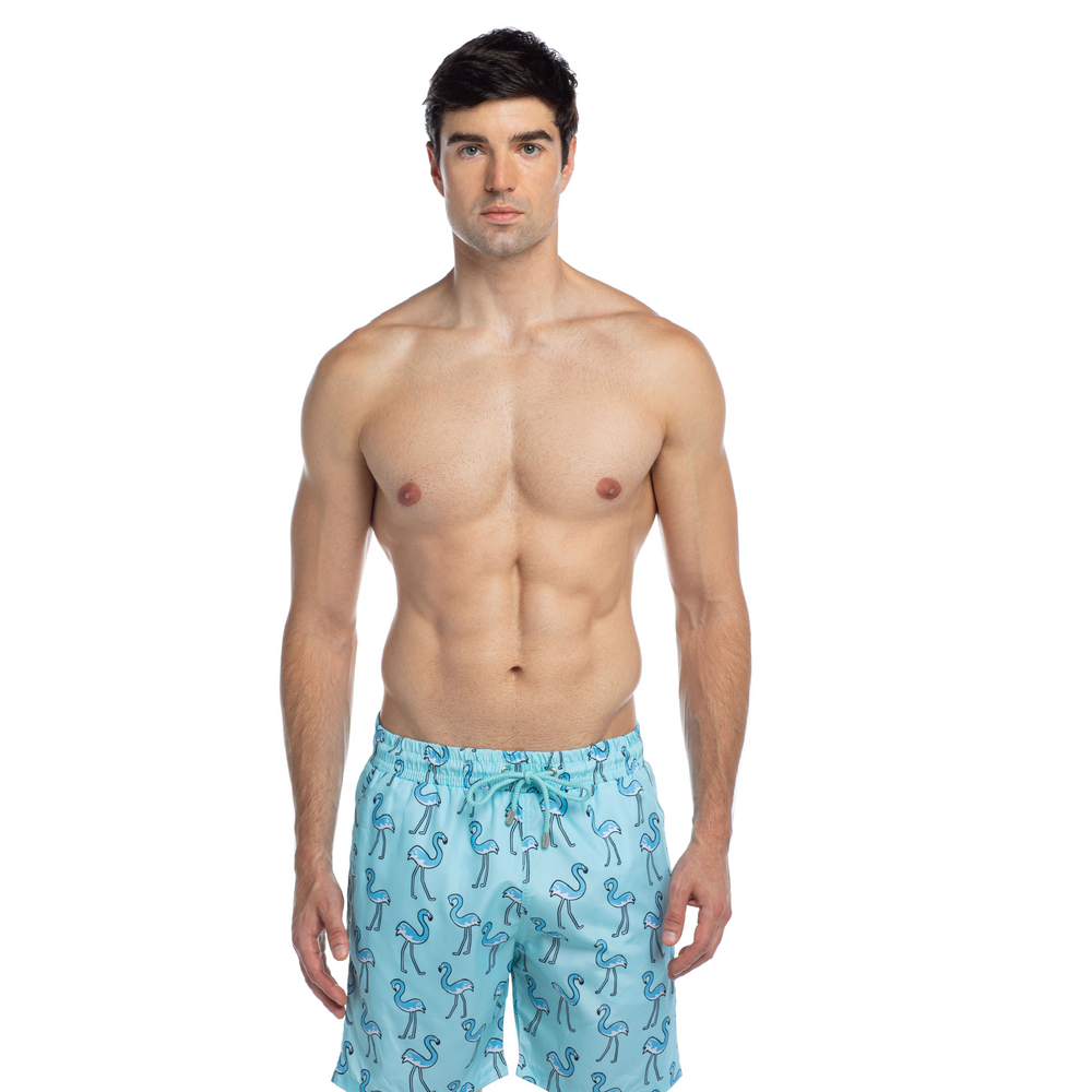 
                      
                        Splendour - Free Flamingo - Swim Shorts
                      
                    