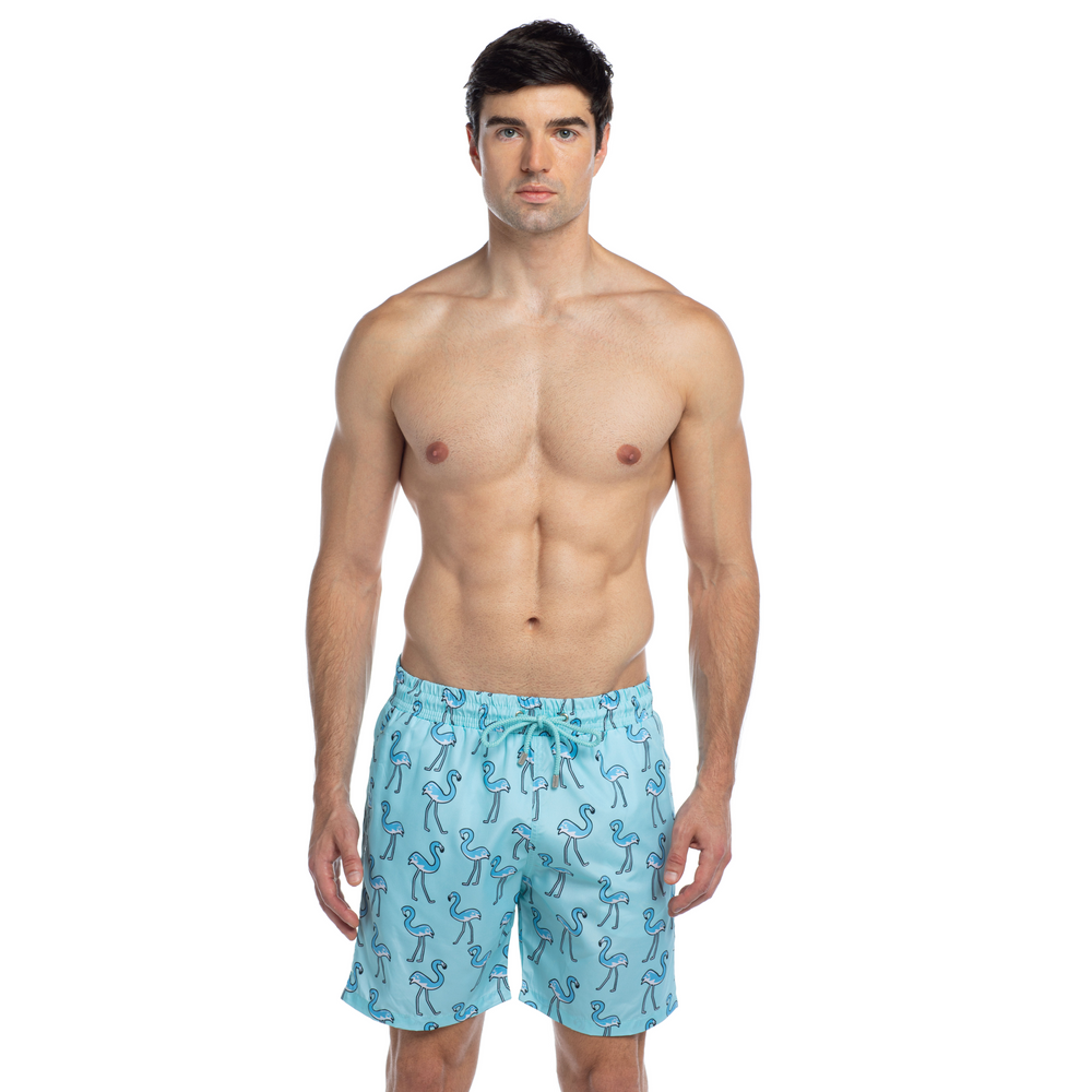 
                      
                        Splendour - Free Flamingo - Swim Shorts
                      
                    