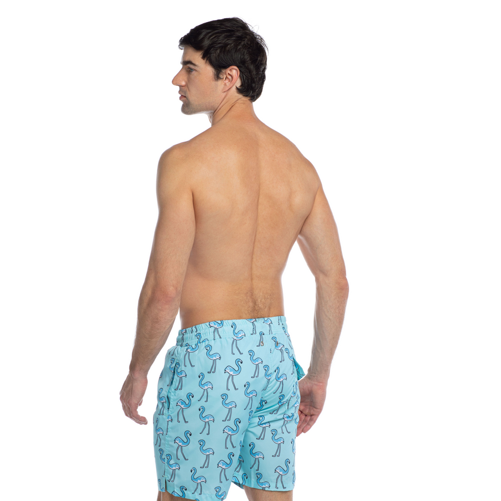 
                      
                        Splendour - Free Flamingo - Swim Shorts
                      
                    